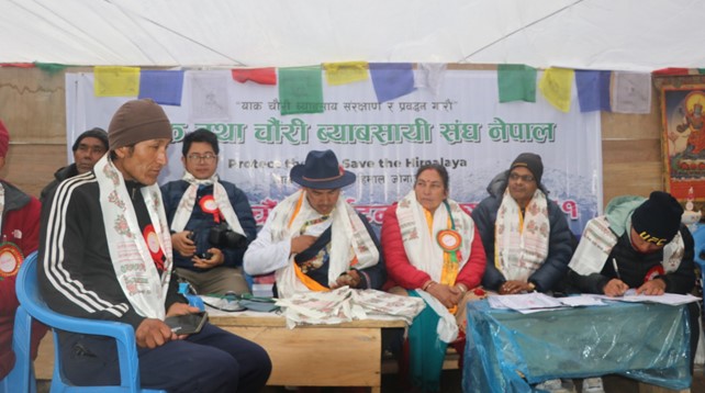 याक तथा चौरी ब्यवसायी संघ नेपालको गतिबिधीहरु तस्बिरमा