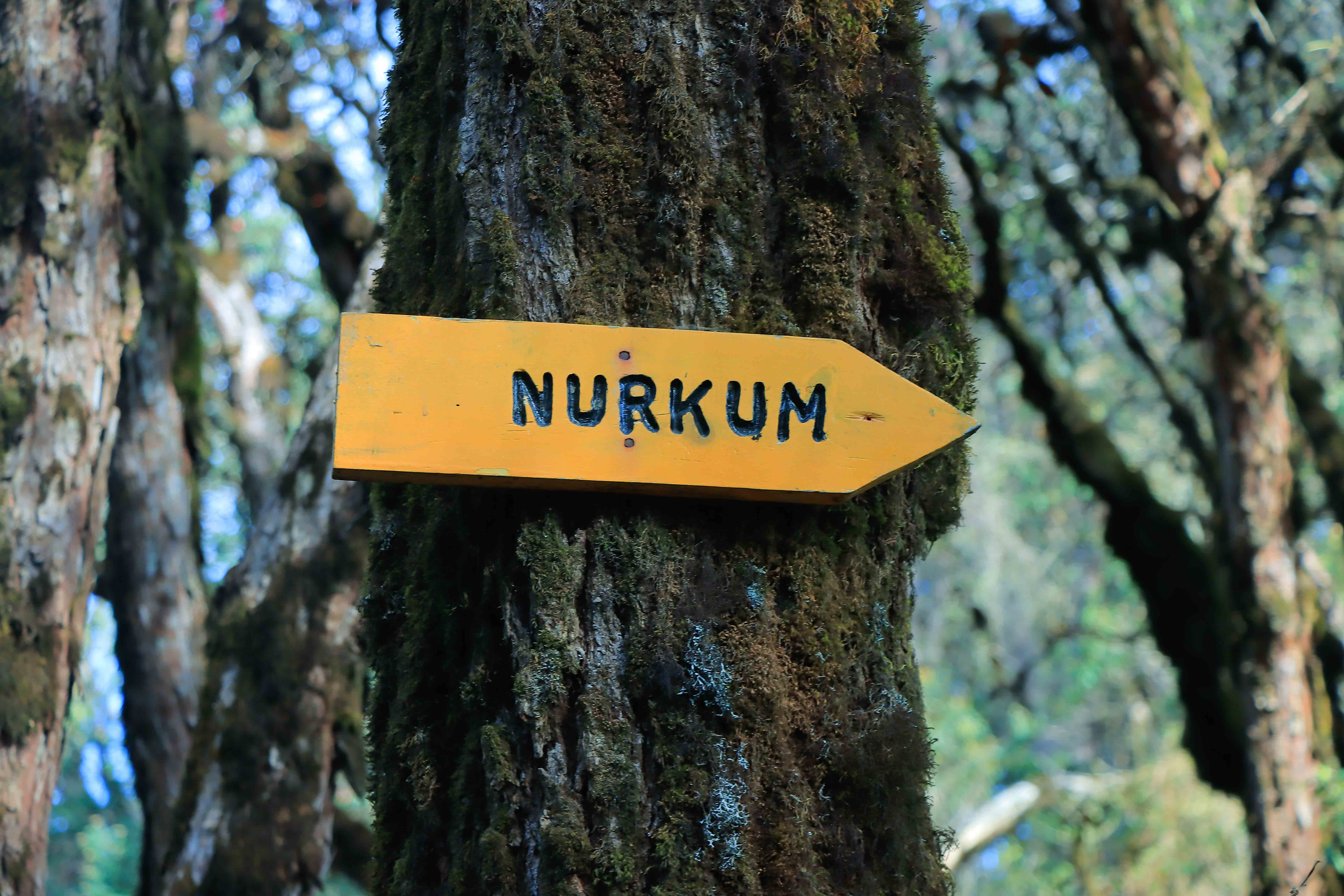 One Village One Yak Project in Solukhumbu District